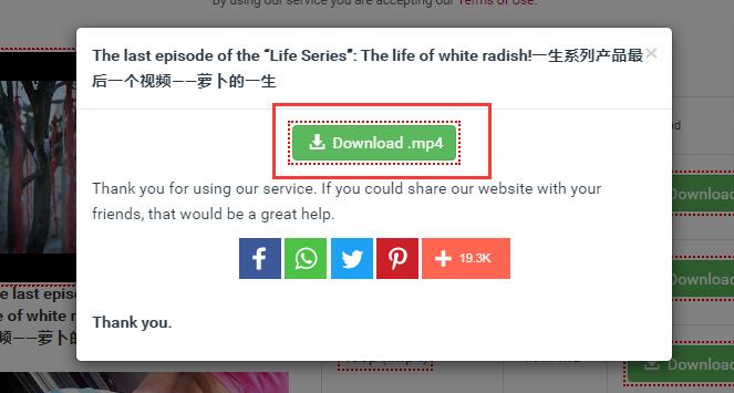 在新弹窗中点击“Download”