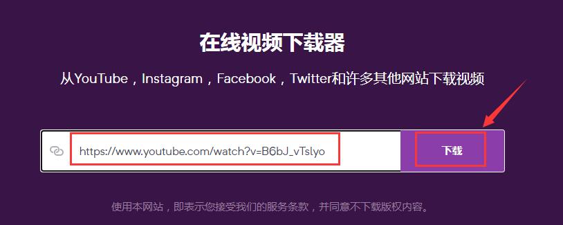 将要下载的Youtube视频链接粘贴进搜索框，并点击“下载”