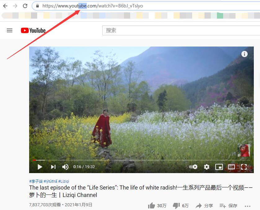 在浏览器的地址栏中将Youtube.com中的“ube”删掉