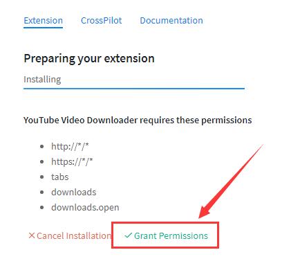 点击“Grant Permissions”允许程序下载视频