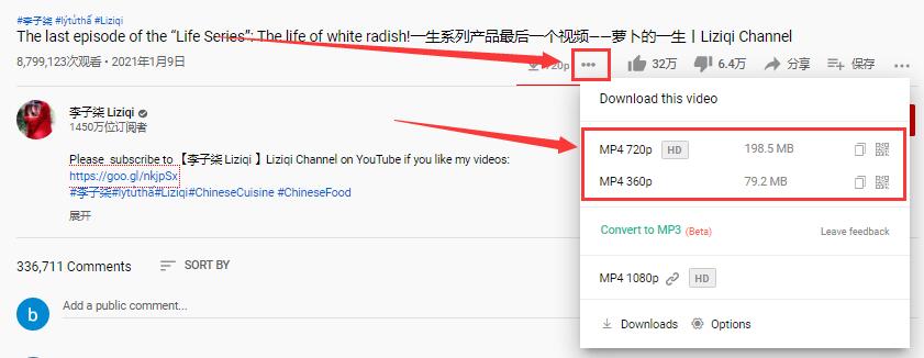 点击“下载”按钮后面的三个小点，选择Youtube视频分辨率