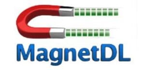 种子网站(十五):Magnetdl